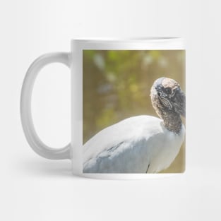 Wood stork in  wildlife preserve Mug